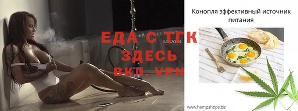 шишки Инта