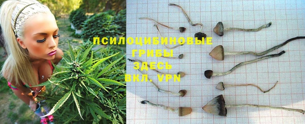 стафф Абинск
