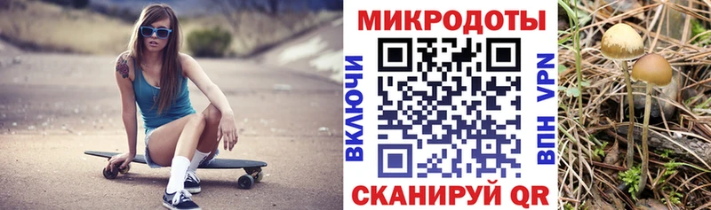 Галлюциногенные грибы Cubensis  наркошоп  Камень-на-Оби 